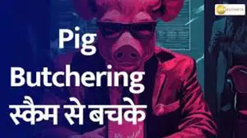 पिग बुचरिंग स्कैम (Pig Butchering Scam) का उभार: