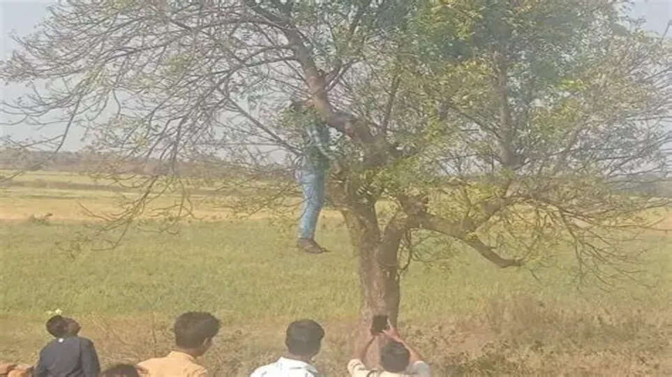 Varanasi News: छात्र ने नीम के पेड़ पर फंदा लगाकर जान दी