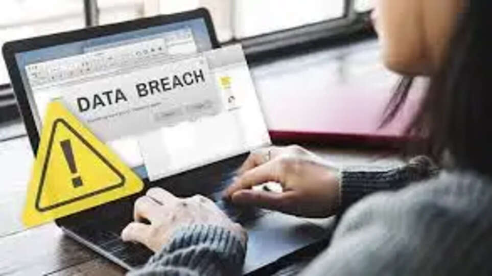 कॉर्पोरेट डेटा उल्लंघन (Corporate Breaches)