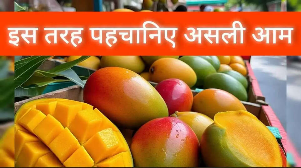 Artificial Ripening of Mangoes